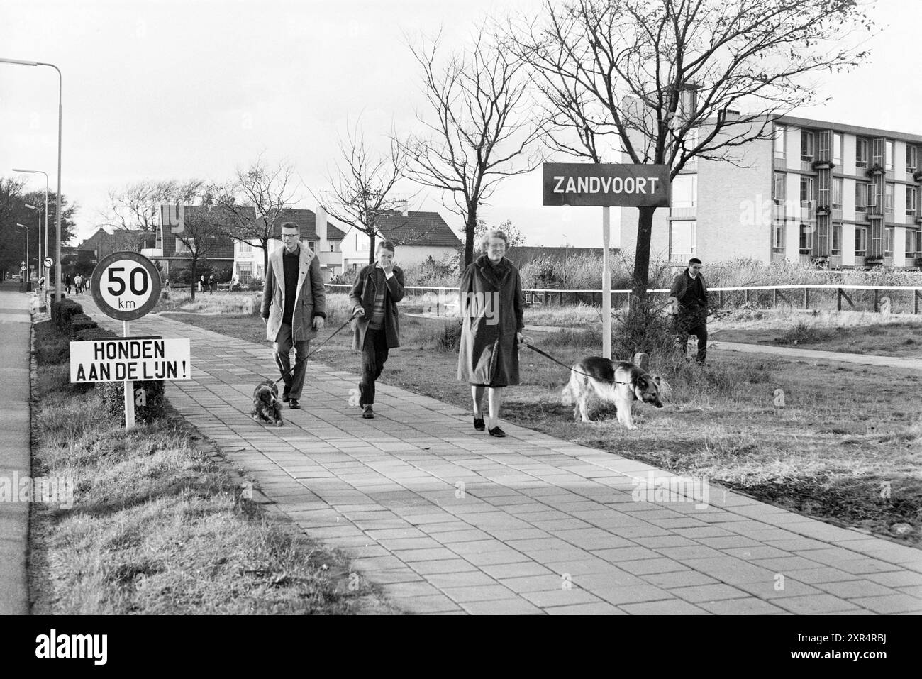 Hunde an der Leine, Zandvoort, Tiere, 29-10-1962, Whizgle Dutch News: Historische Bilder für die Zukunft. Erkunden Sie die Vergangenheit der Niederlande mit modernen Perspektiven durch Bilder von niederländischen Agenturen. Verbinden der Ereignisse von gestern mit den Erkenntnissen von morgen. Begeben Sie sich auf eine zeitlose Reise mit Geschichten, die unsere Zukunft prägen. Stockfoto