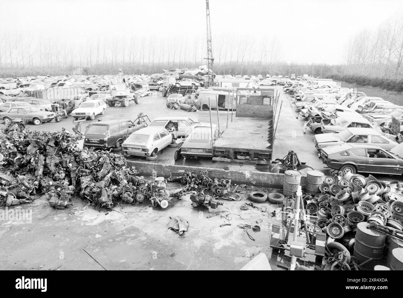 Car Scrapyard, 00-03-1988, Whizgle Dutch News: Historical Images Tailored for the Future. Erkunden Sie die Vergangenheit der Niederlande mit modernen Perspektiven durch Bilder von niederländischen Agenturen. Verbinden der Ereignisse von gestern mit den Erkenntnissen von morgen. Begeben Sie sich auf eine zeitlose Reise mit Geschichten, die unsere Zukunft prägen. Stockfoto