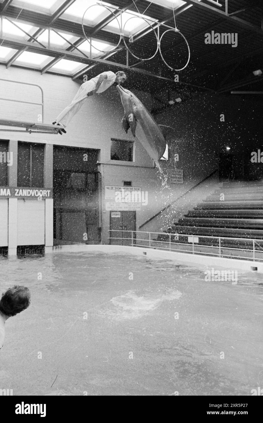 Delfine im Zandvoort Delfinarium, Zandvoort, 29-03-1979, Whizgle Dutch News: Historische Bilder zugeschnitten auf die Zukunft. Erkunden Sie die Vergangenheit der Niederlande mit modernen Perspektiven durch Bilder von niederländischen Agenturen. Verbinden der Ereignisse von gestern mit den Erkenntnissen von morgen. Begeben Sie sich auf eine zeitlose Reise mit Geschichten, die unsere Zukunft prägen. Stockfoto