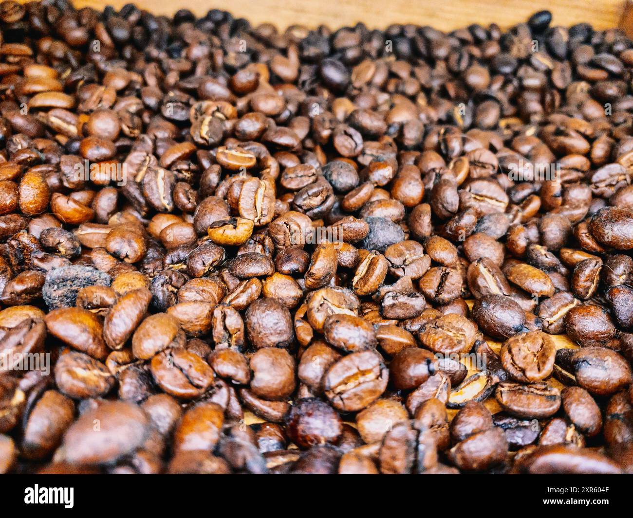 Rohkaffee-Bohnen-Textur – selektiver Fokus Stockfoto