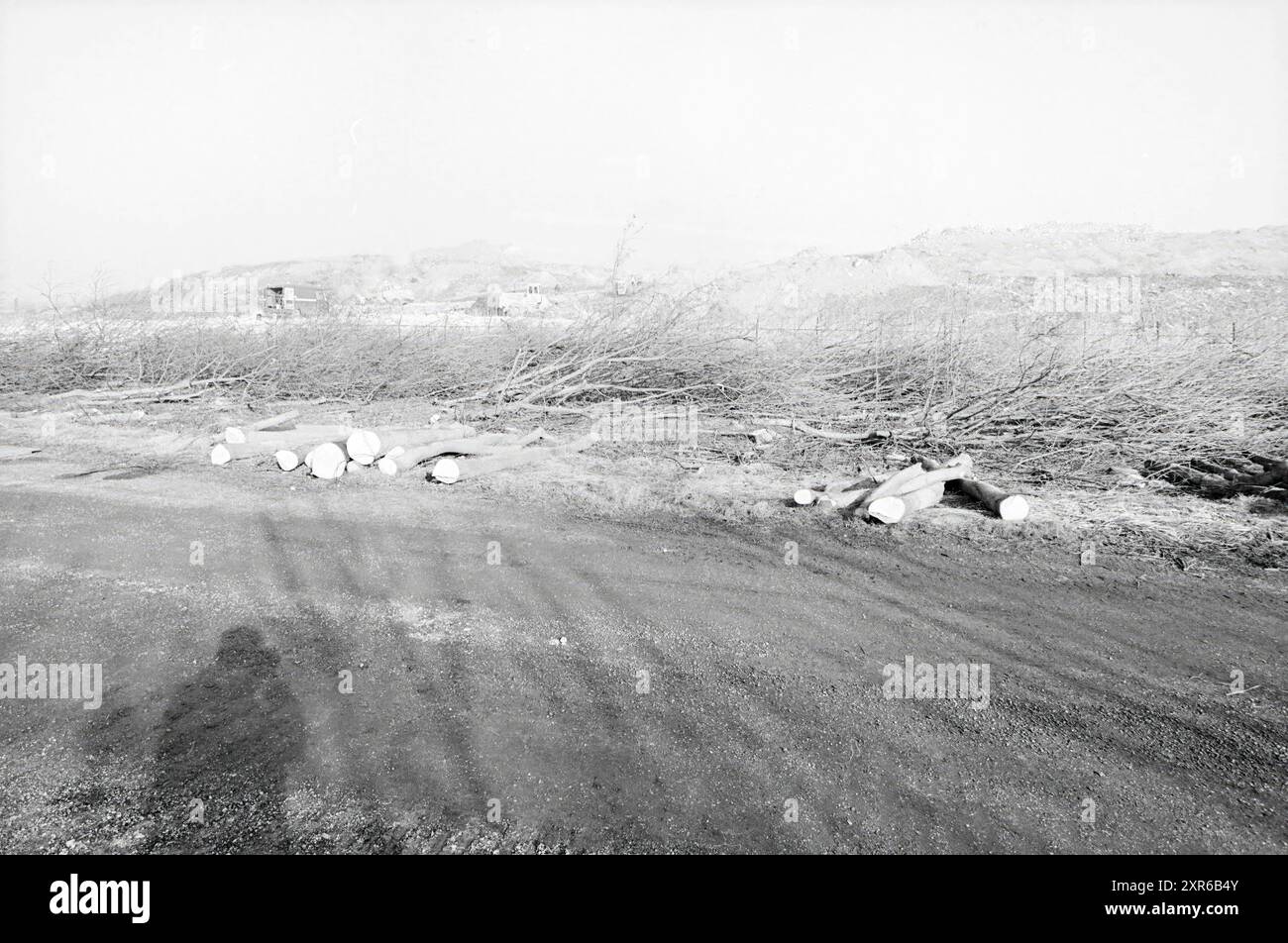 Bäume hinter Müllhalde Fällen, Spaarnwoude, Bäume, Spaarnwoude, 08-02-1989, Whizgle Dutch News: historische Bilder für die Zukunft. Erkunden Sie die Vergangenheit der Niederlande mit modernen Perspektiven durch Bilder von niederländischen Agenturen. Verbinden der Ereignisse von gestern mit den Erkenntnissen von morgen. Begeben Sie sich auf eine zeitlose Reise mit Geschichten, die unsere Zukunft prägen. Stockfoto