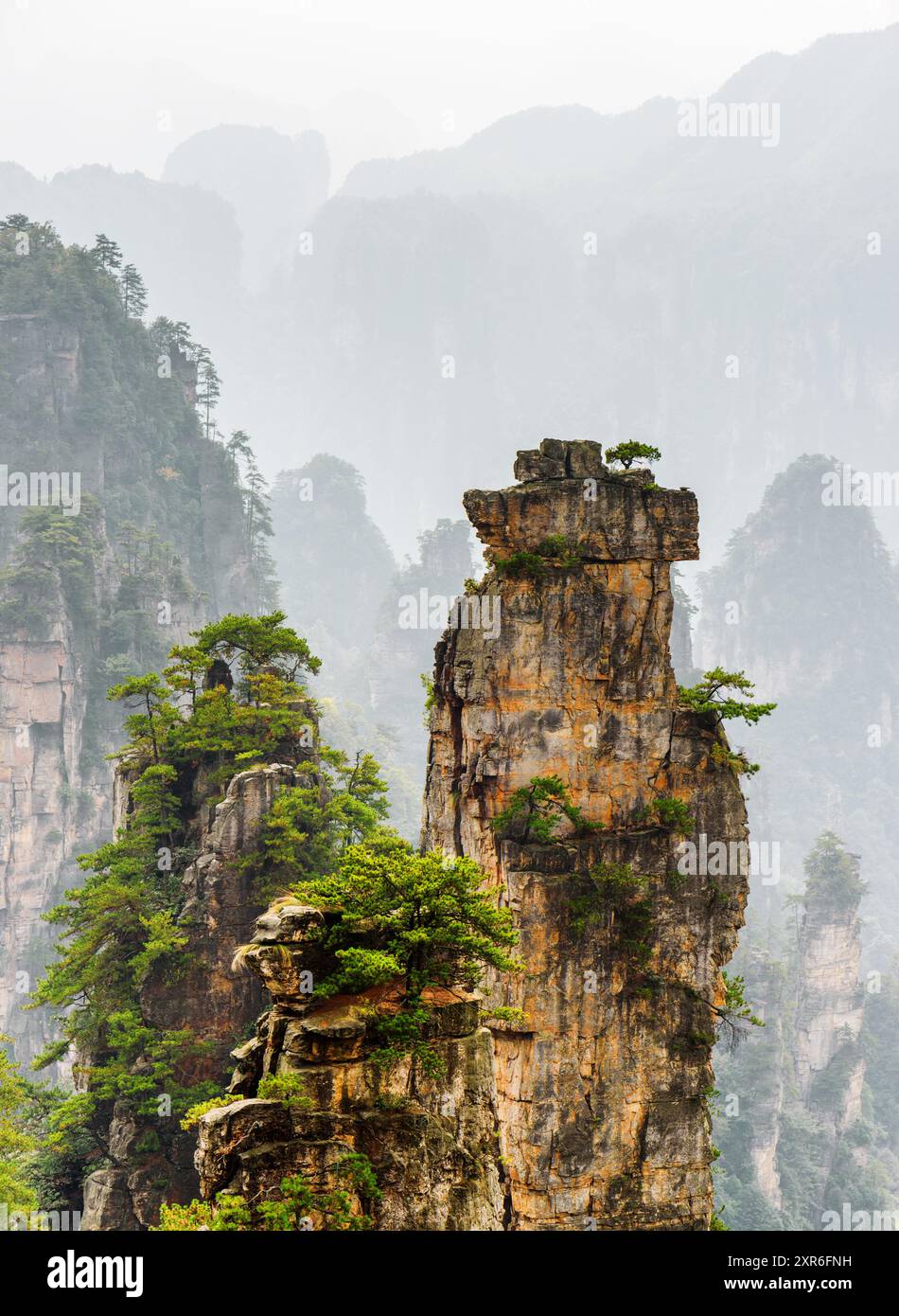 Drei natürliche Quarzsandsteinsäulen (Avatar Mountains) Stockfoto