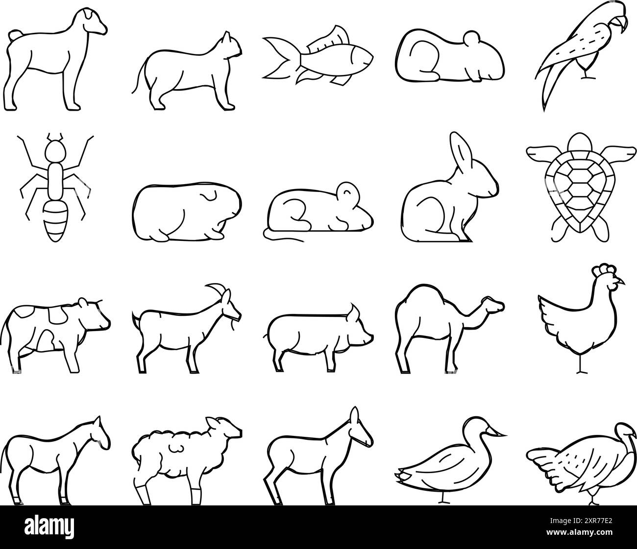 Pet Domestic, Farm Und Meer Aqua Icons Set Vektor Stock Vektor