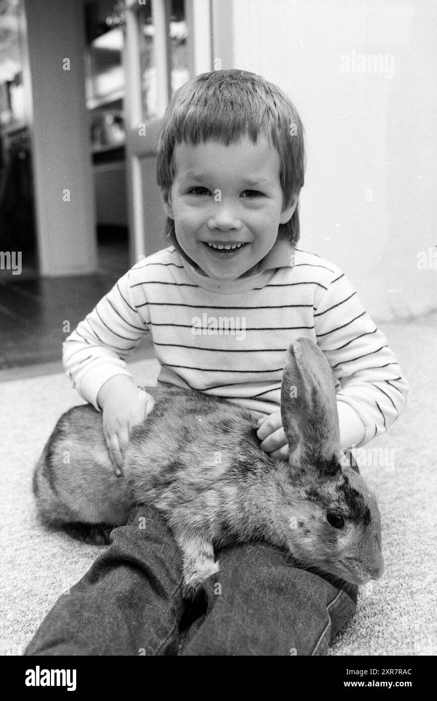 Großes Kaninchen, IJmuiden, Tiere, IJmuiden, Nederland, 09-02-1988, Whizgle Dutch News: historische Bilder für die Zukunft. Erkunden Sie die Vergangenheit der Niederlande mit modernen Perspektiven durch Bilder von niederländischen Agenturen. Verbinden der Ereignisse von gestern mit den Erkenntnissen von morgen. Begeben Sie sich auf eine zeitlose Reise mit Geschichten, die unsere Zukunft prägen. Stockfoto