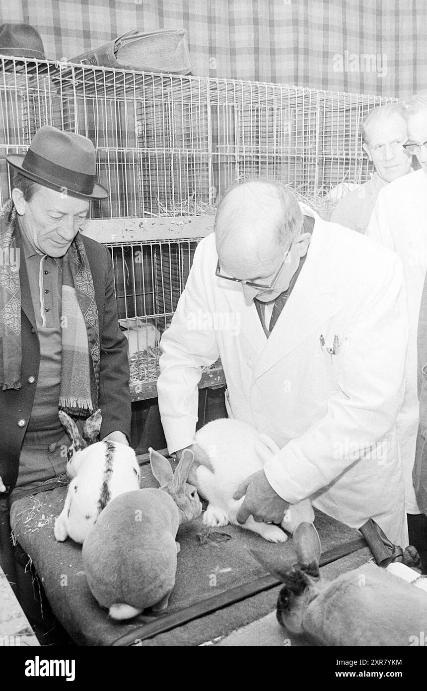 Rabbit Show, 00-00-1972, Whizgle Dutch News: Historical Images Tailored for the Future. Erkunden Sie die Vergangenheit der Niederlande mit modernen Perspektiven durch Bilder von niederländischen Agenturen. Verbinden der Ereignisse von gestern mit den Erkenntnissen von morgen. Begeben Sie sich auf eine zeitlose Reise mit Geschichten, die unsere Zukunft prägen. Stockfoto