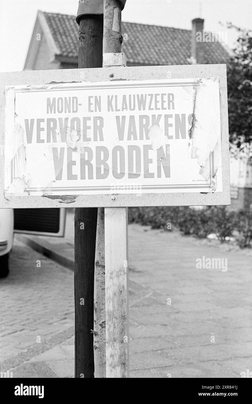 Platte Maul- und Klauenseuche, Plates, 21-05-1973, Whizgle Dutch News: Historische Bilder zugeschnitten auf die Zukunft. Erkunden Sie die Vergangenheit der Niederlande mit modernen Perspektiven durch Bilder von niederländischen Agenturen. Verbinden der Ereignisse von gestern mit den Erkenntnissen von morgen. Begeben Sie sich auf eine zeitlose Reise mit Geschichten, die unsere Zukunft prägen. Stockfoto