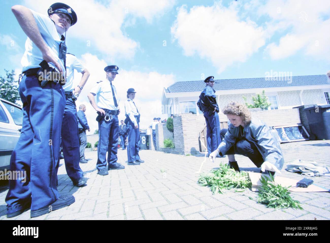 Vertreibung des Cannabisanbaus, Haarlem, Niederlande, 14-06-2000, Whizgle Dutch News: Historische Bilder zugeschnitten auf die Zukunft. Erkunden Sie die Vergangenheit der Niederlande mit modernen Perspektiven durch Bilder von niederländischen Agenturen. Verbinden der Ereignisse von gestern mit den Erkenntnissen von morgen. Begeben Sie sich auf eine zeitlose Reise mit Geschichten, die unsere Zukunft prägen. Stockfoto