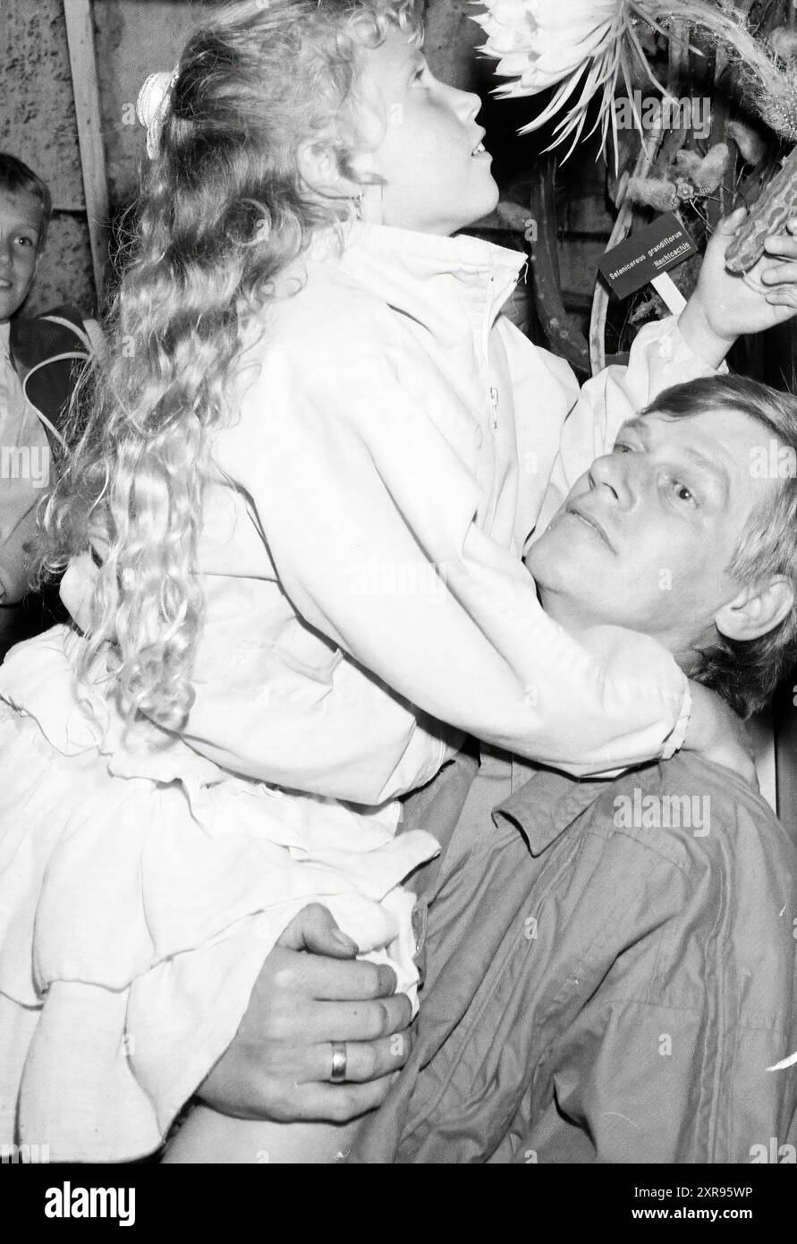 Blüte der Karibischen Nachtkönigin Hoofddorp, Blumen und Blumenmädchen, Hoofddorp, Niederlande, 28-07-1988, Whizgle Dutch News: Historische Bilder zugeschnitten auf die Zukunft. Erkunden Sie die Vergangenheit der Niederlande mit modernen Perspektiven durch Bilder von niederländischen Agenturen. Verbinden der Ereignisse von gestern mit den Erkenntnissen von morgen. Begeben Sie sich auf eine zeitlose Reise mit Geschichten, die unsere Zukunft prägen. Stockfoto