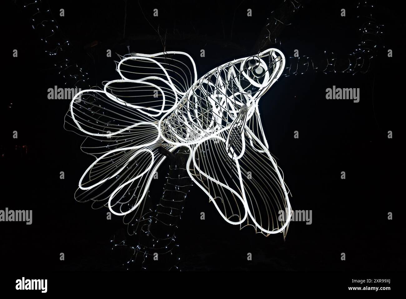 Große leuchtende weiße Fischsilhouette im Freien Stockfoto