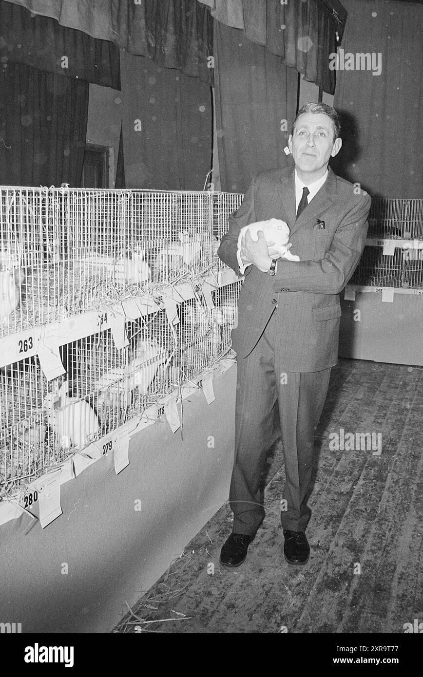 Kaninchenzucht, Whizgle Dutch News: Historische Bilder für die Zukunft. Erkunden Sie die Vergangenheit der Niederlande mit modernen Perspektiven durch Bilder von niederländischen Agenturen. Verbinden der Ereignisse von gestern mit den Erkenntnissen von morgen. Begeben Sie sich auf eine zeitlose Reise mit Geschichten, die unsere Zukunft prägen. Stockfoto