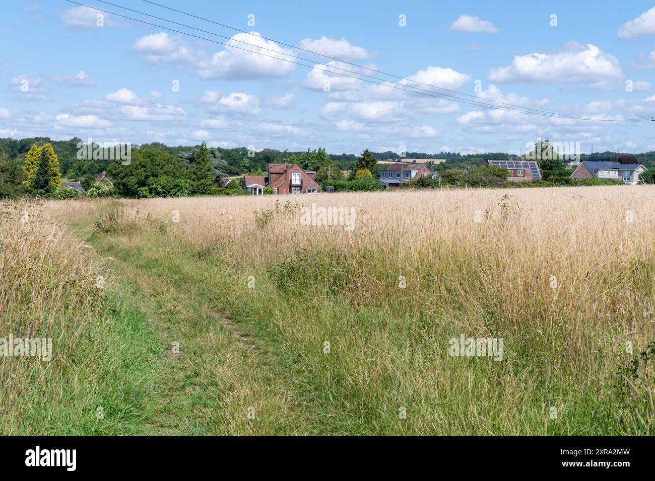 Feld neben Häusern in Olivers Battery, Winchester, Hampshire, England, Großbritannien. Konzept: Grüngürtel, Begrenzung der Entwicklung, Kontrolle des städtischen Wachstums Stockfoto