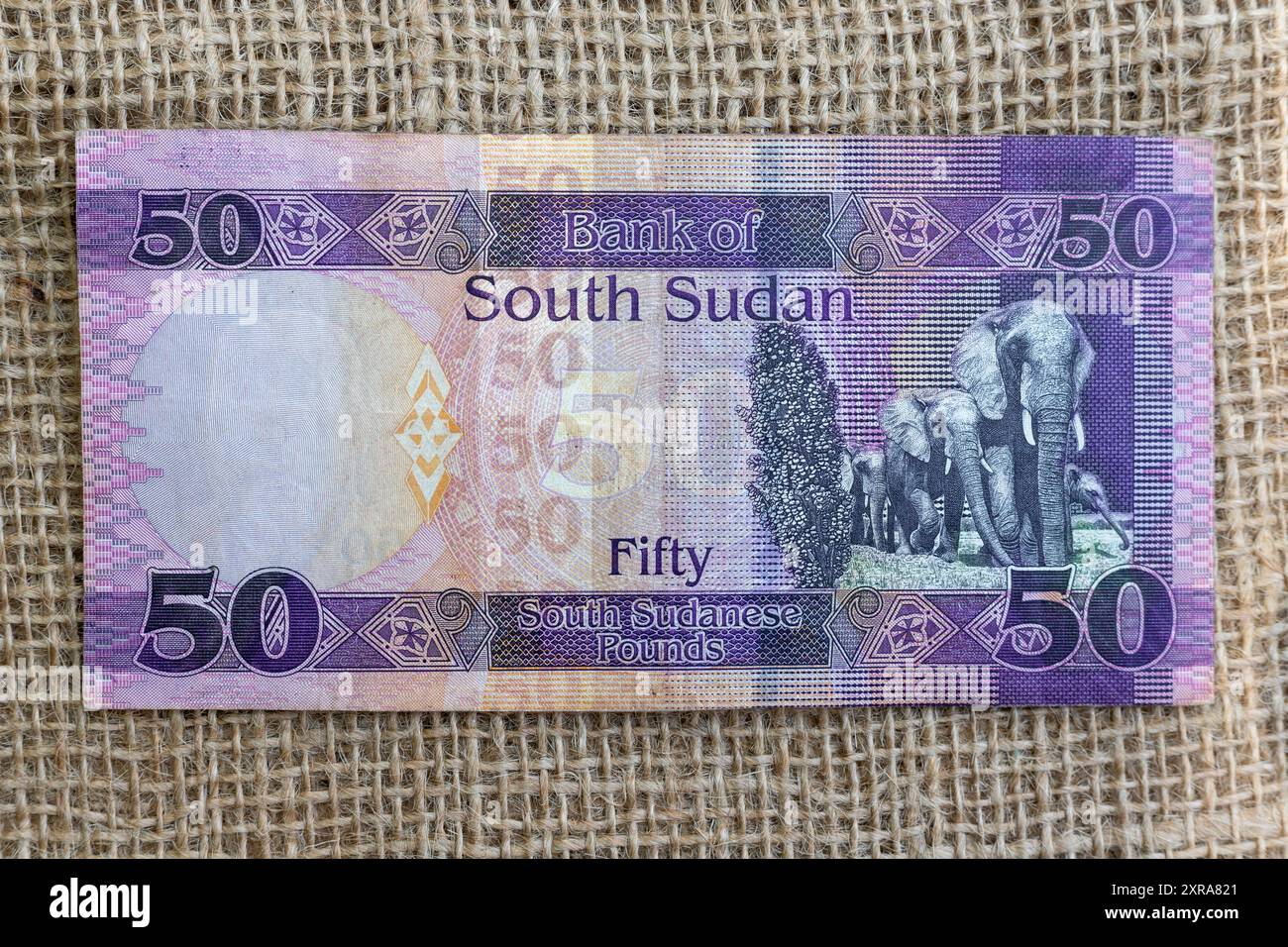 Südsudan 50-Pfund-Banknotenrückseite mit Elefanten Stockfoto