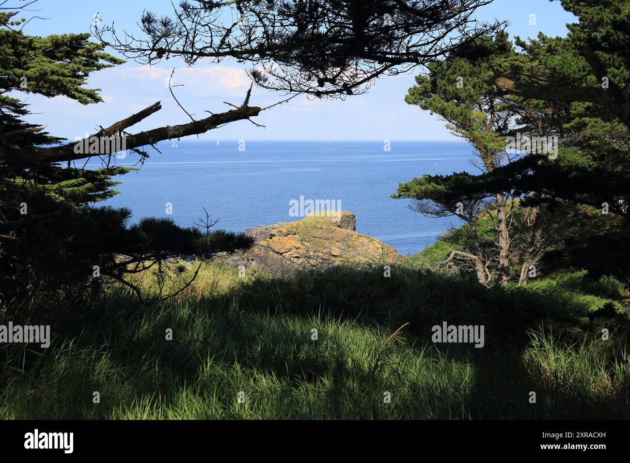 Blick durch Wälder nach Point des Canons, Belle Ile en Mer, Bretagne, Frankreich Stockfoto