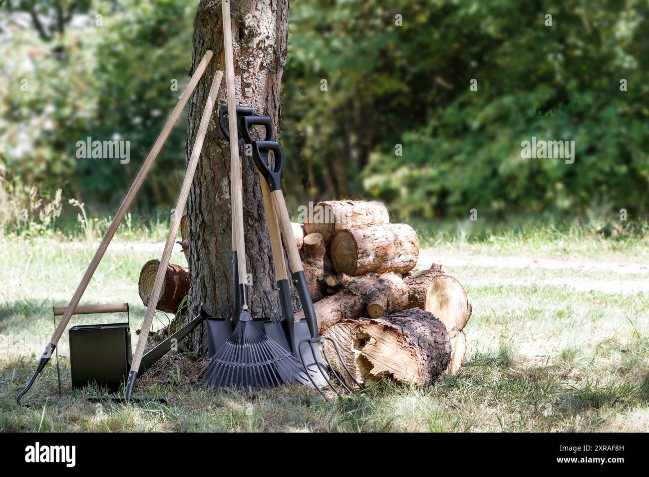 Gartenwerkzeuge und gehackte Baumstämme im natürlichen Waldhintergrund. Sonnenlicht-Wiese und Herbstgartenkonzept. Herbstarbeit im Garten. Stockfoto