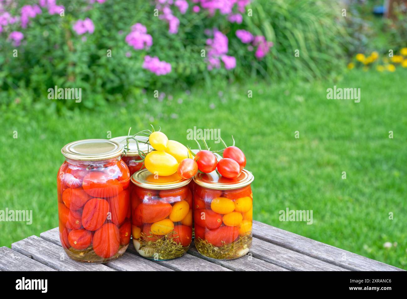 Gläser mit hausgemachten eingelegten Tomaten, mit Metalldeckeln versiegelt Stockfoto