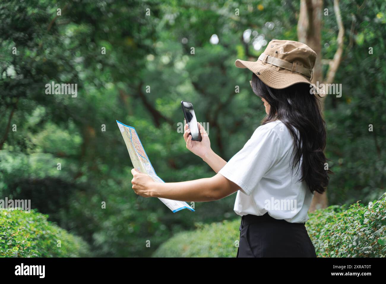 Frau, die im Wald mit Smartphone und Karte reist. Zugeschnittenes Bild einer Frau mit Karte und Telefon, die in der Nähe eines Baumes im Wald steht. Rückansicht von c Stockfoto
