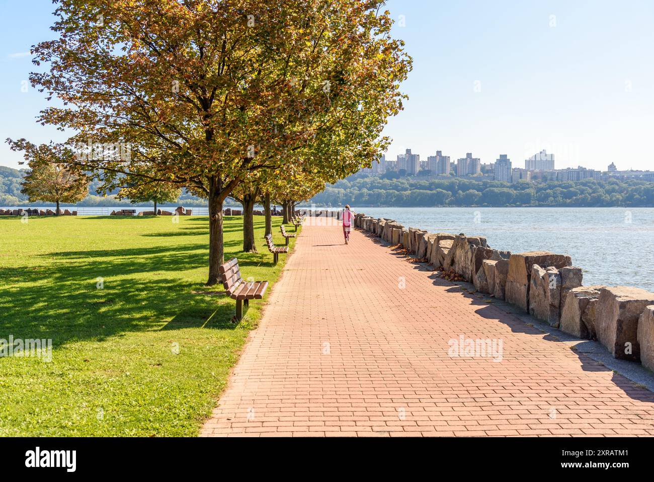 Frau, die an einem klaren Herbstmorgen auf einem von Bäumen und Bänken gesäumten Backsteinpfad in einem Park am Ufer joggt. Stockfoto