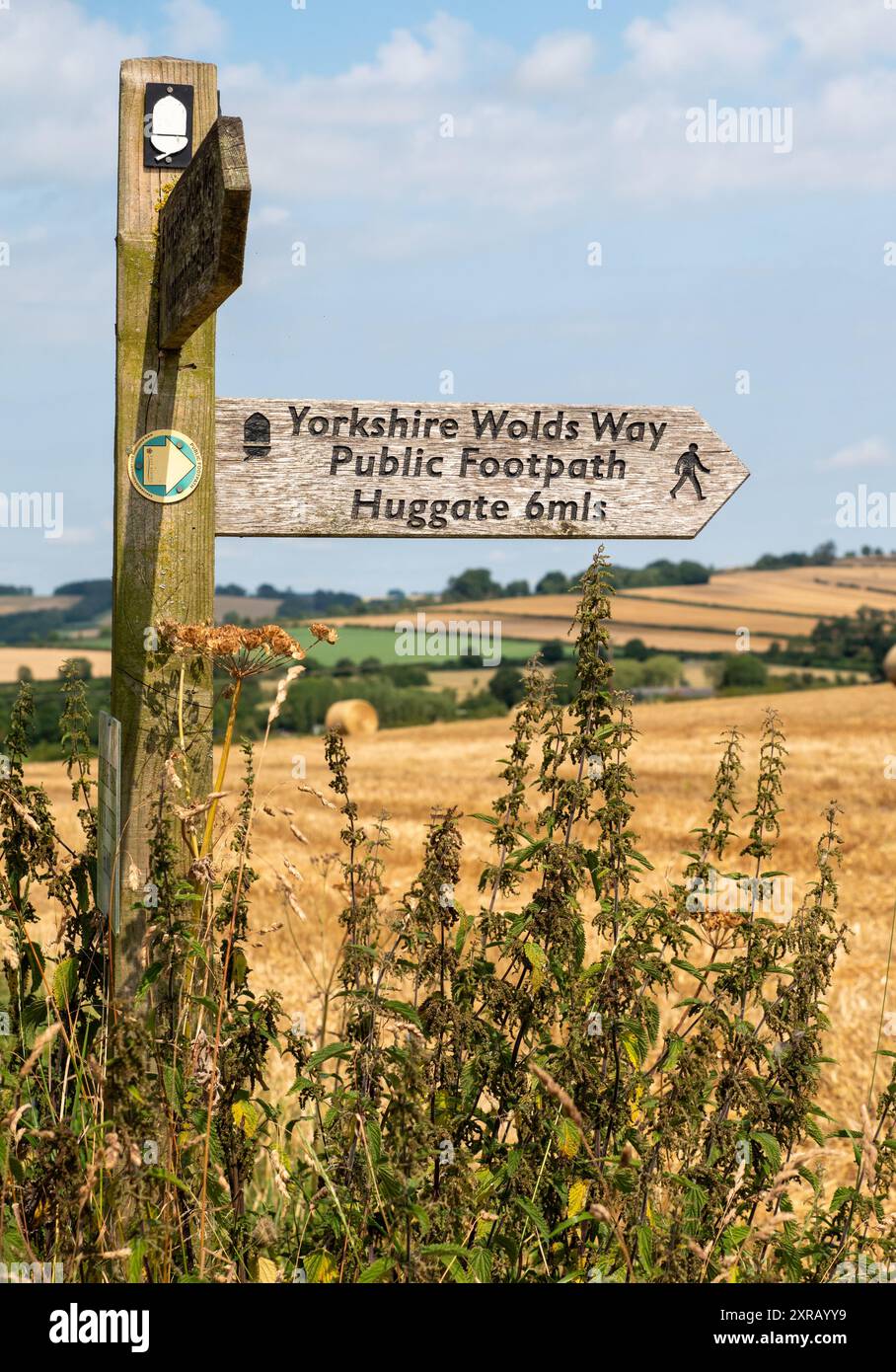 Wolds Way Holzschild in ländlicher Umgebung mit öffentlichem Fußweg und Huggate 6 Meilen an sonnigen Tagen mit blauem Himmel. Stockfoto