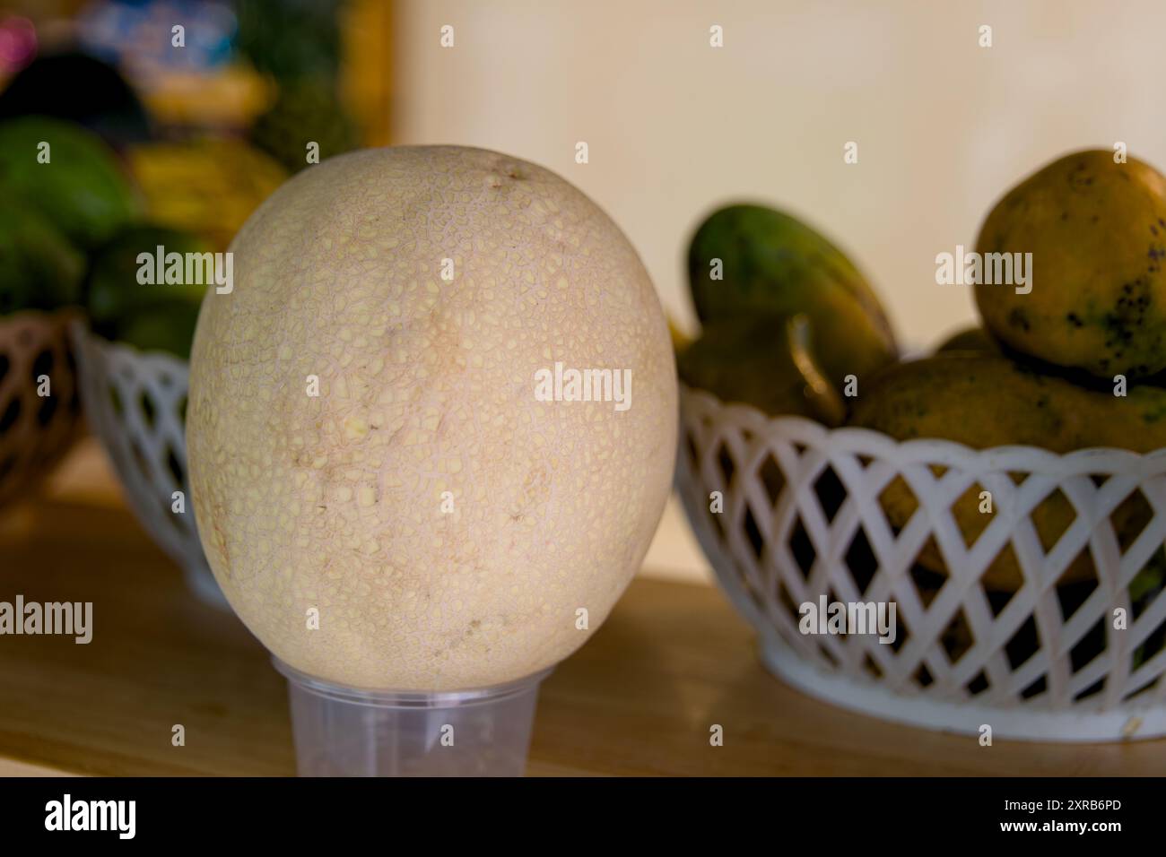 Eine reife, helle Melone sitzt auf einer Tasse und kann in ein erfrischendes Getränk verwandelt werden, während andere Früchte im Hintergrund verschwimmen. Stockfoto
