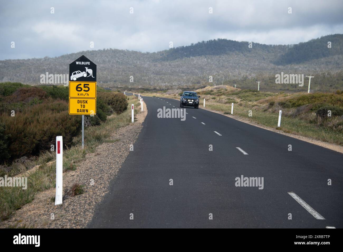 Ein tasmanisches Straßenschild mit einem Warnschild für Wildtiere, das ein Känguru auf einem Auto zeigt, entlang einer Küstenstraße, der Bay of Fires. Es ist ein paar Meilen entfernt Stockfoto