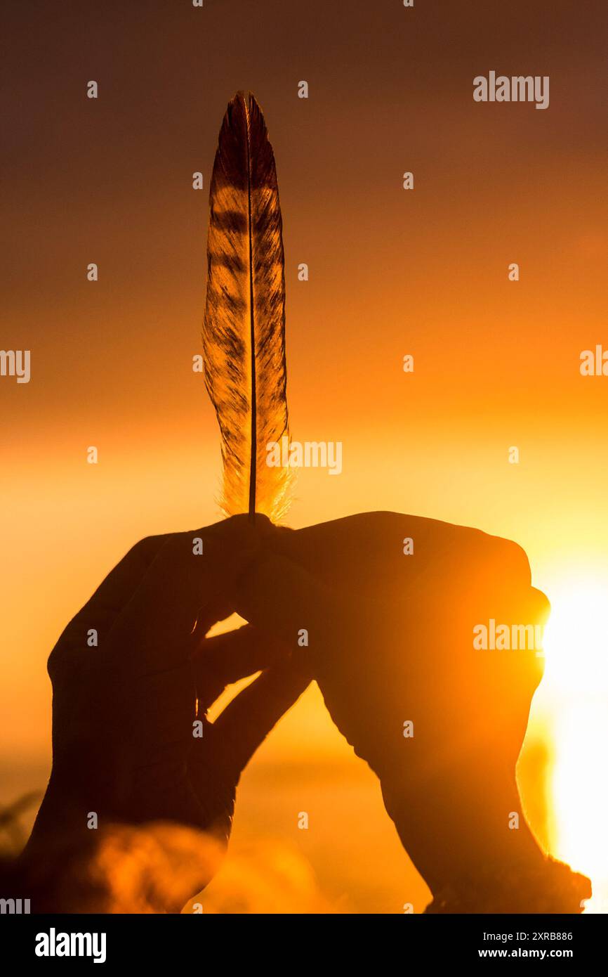 Träumen Sie Leben und Hoffnung Zukunftskonzept mit Nahaufnahme der Hände, die eine Feder halten, mit Sonnenuntergang Sonnenlicht im Hintergrund, Silhouette machen - Sommerzeit und friedlicher Lebensstil der Menschen mit Liebe Stockfoto Träumen Sie Leben und Hoffnung Zukunftskonzept mit Nahaufnahme der Hände, die eine Feder halten, mit Sonnenuntergang Sonnenlicht im Hintergrund, Silhouette machen - Sommerzeit und friedlicher Lebensstil der Menschen mit Liebe Stockfoto