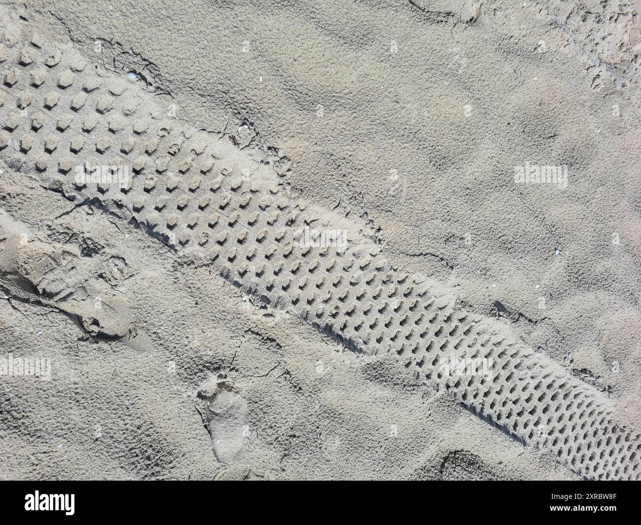 Verschiedene Spuren und Abdrücke im Sand am Strand von Prerow, Ostseebad Deutschland Stockfoto