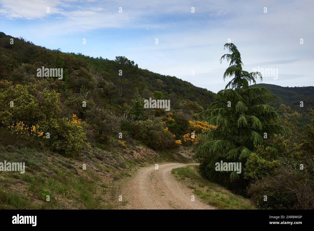 Abseits der Touristenpfade im Departement Herault, Frankreich Stockfoto
