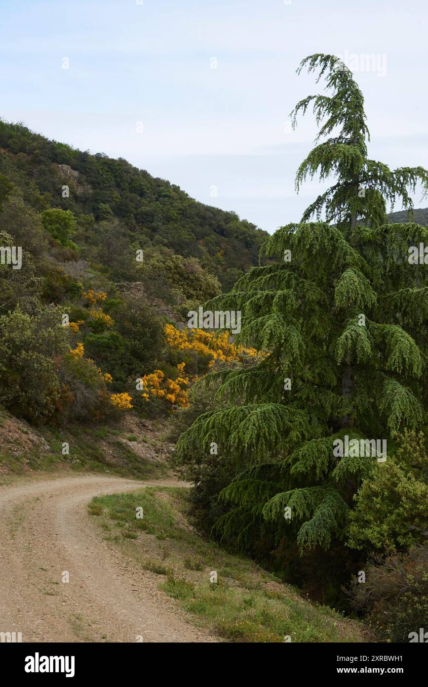 Abseits der Touristenpfade im Departement Herault, Frankreich Stockfoto