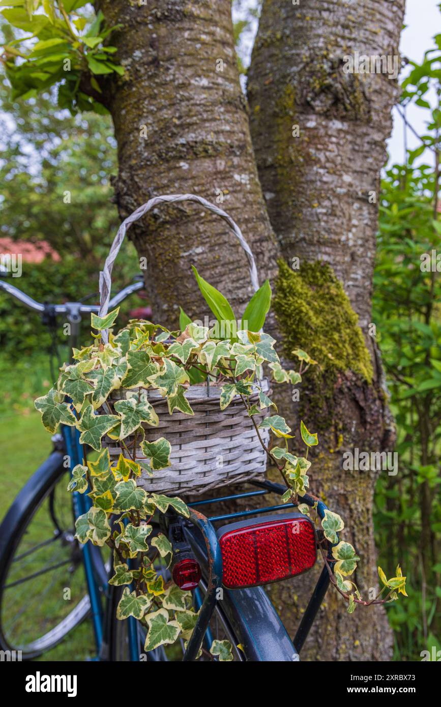 Altes Fahrrad als Dekoration im Garten Stockfoto