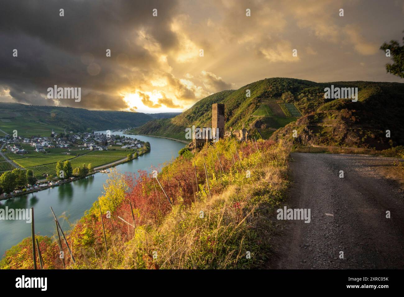 Schöne Landschaft an einem Fluss, inmitten der Weinberge mit Blick auf die Mosel liegt Schloss Metternich, Spätsommerabend bei Sonnenuntergang mit Burgruine in Beilstein, Rheinland-Pfalz, Deutschland Stockfoto