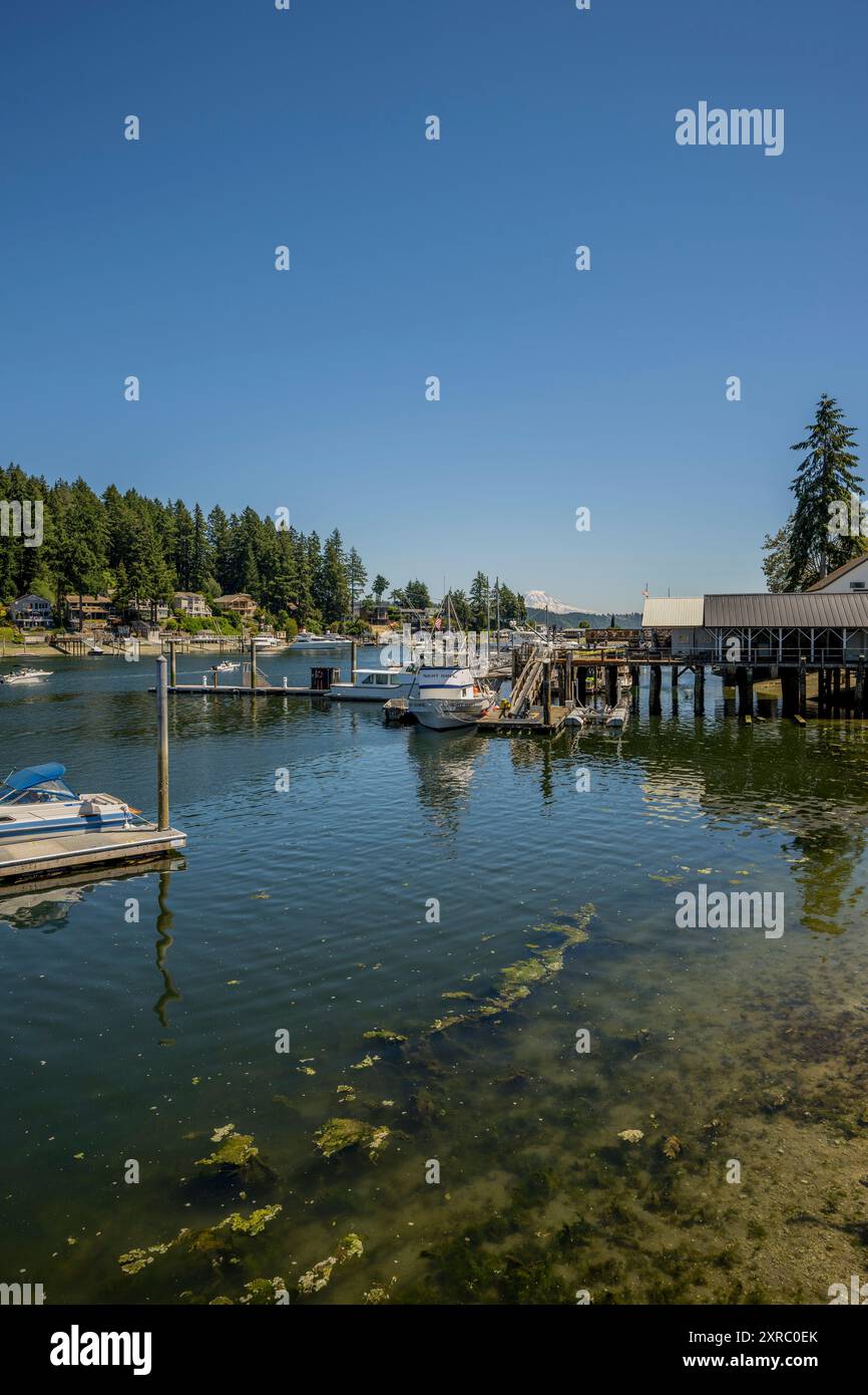 Blick auf die Bucht von Gig Harbor, einem natürlichen Hafen, mit Yachthäfen und Booten in der Stadt Gig Harbor, Pierce County, Washington State, USA. Stockfoto