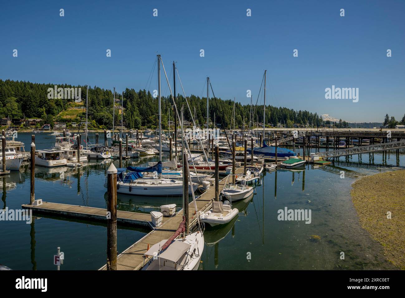 Blick auf die Bucht von Gig Harbor, einem natürlichen Hafen, mit Yachthäfen und Booten in der Stadt Gig Harbor, Pierce County, Washington State, USA. Stockfoto