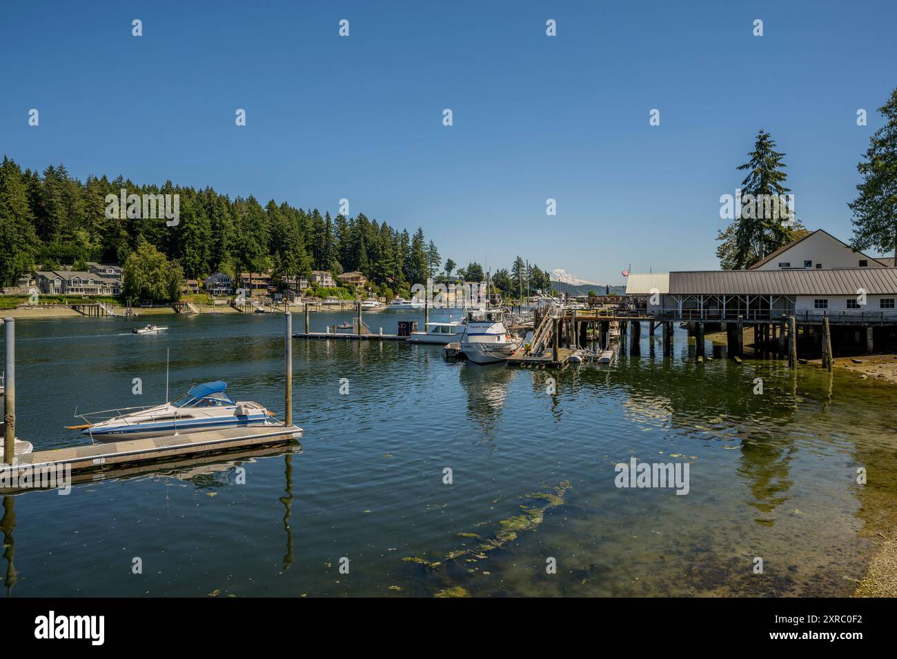 Blick auf die Bucht von Gig Harbor, einem natürlichen Hafen, mit Yachthäfen und Booten in der Stadt Gig Harbor, Pierce County, Washington State, USA. Stockfoto
