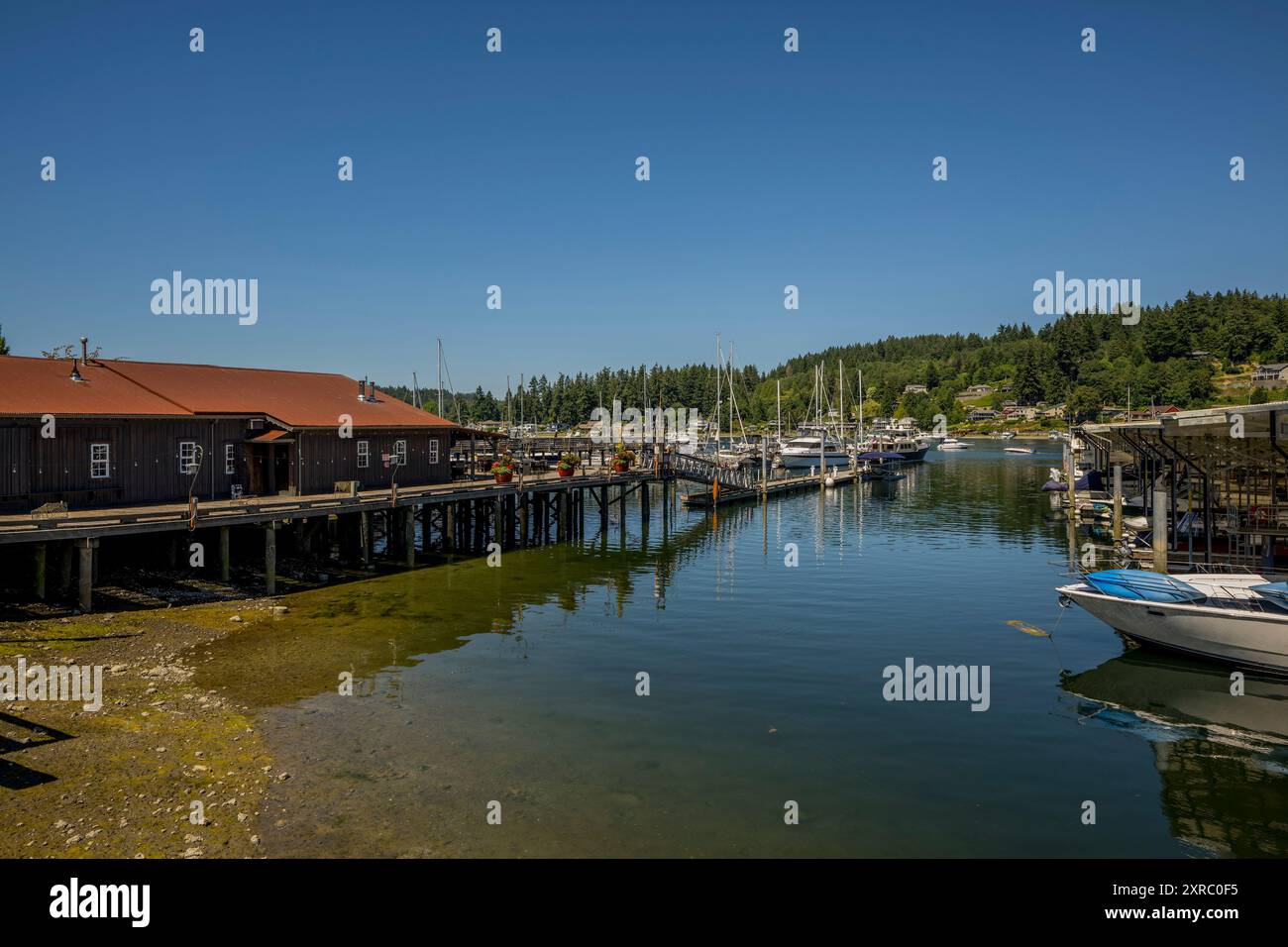 Blick auf die Bucht von Gig Harbor, einem natürlichen Hafen, mit Yachthäfen und Booten in der Stadt Gig Harbor, Pierce County, Washington State, USA. Stockfoto