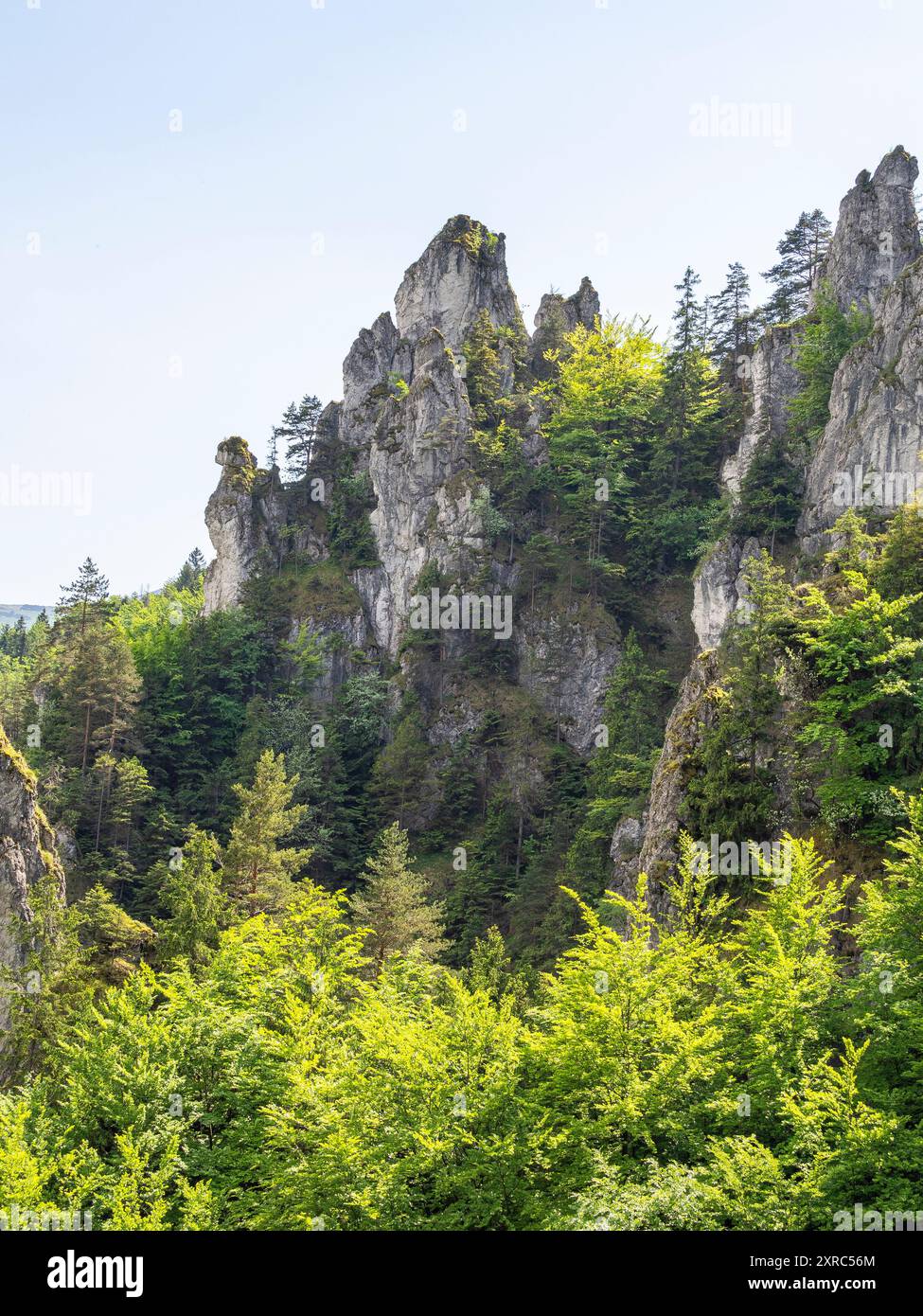 Wandern Sie im Nationalpark Mala Fatra in der Slowakei. Stockfoto