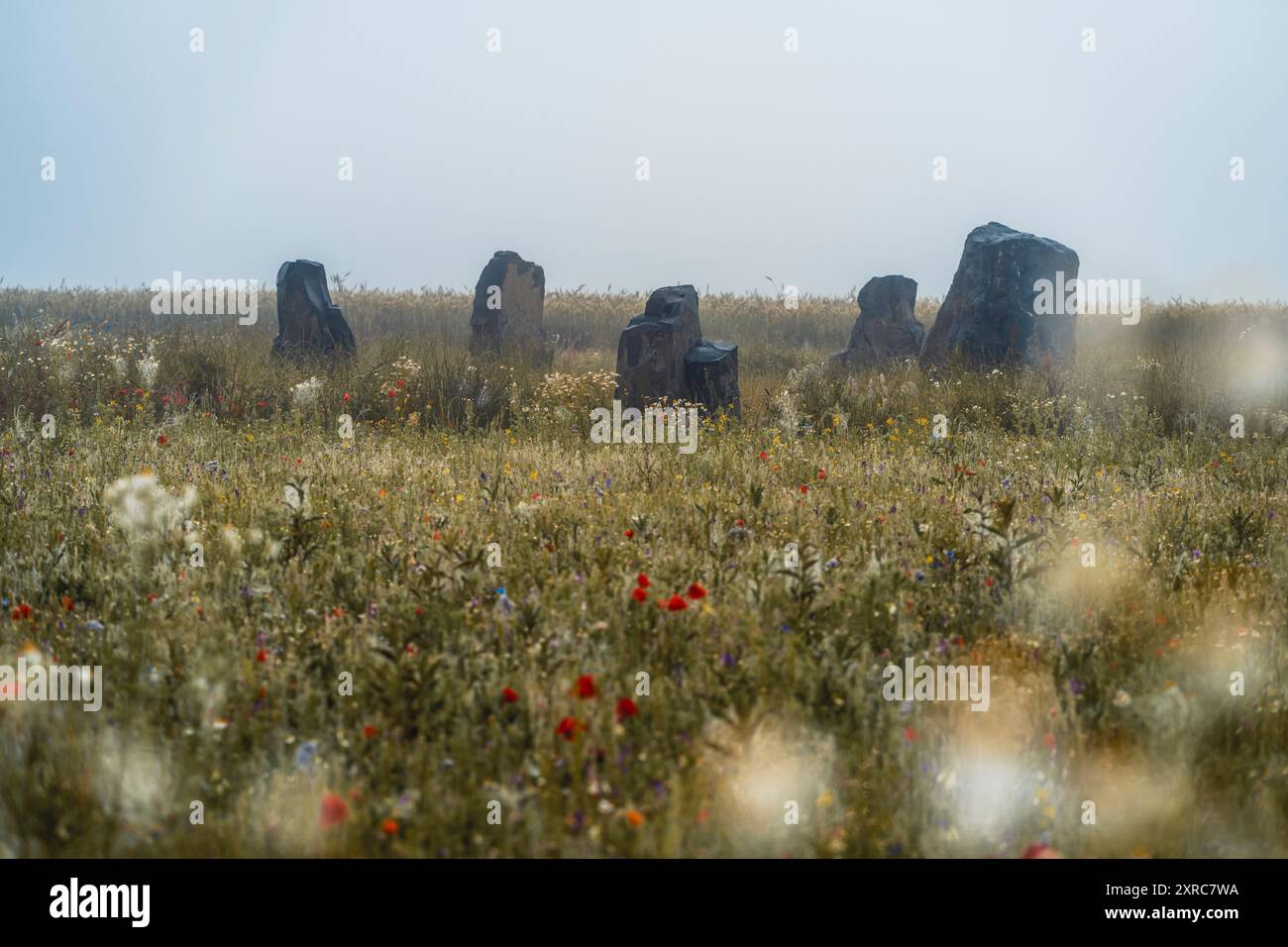 Germerode Steinkreis an einem nebeligen Sommermorgen. Bezirk Werra-Meißner, Hessen, Deutschland Stockfoto