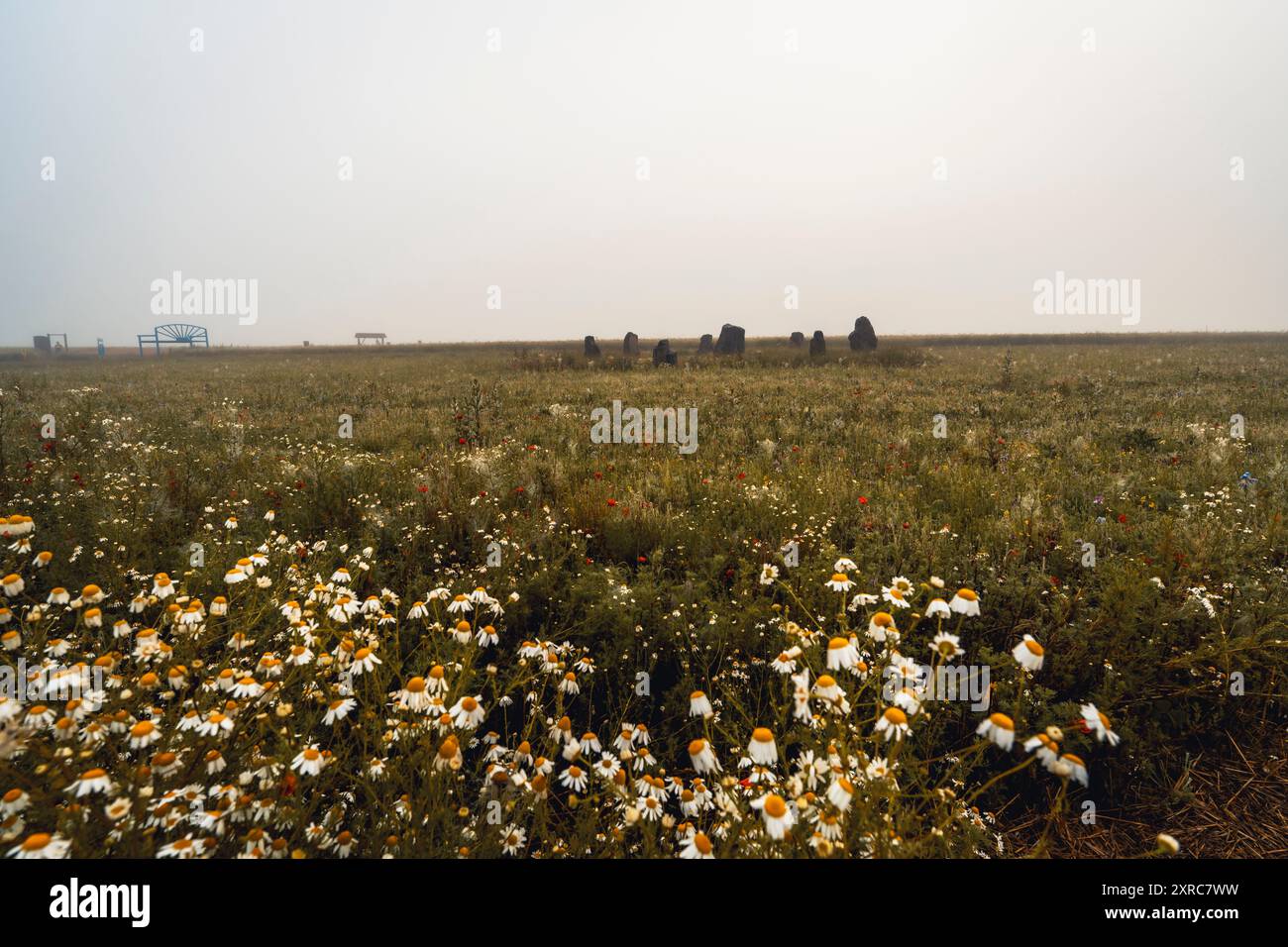 Germerode Steinkreis an einem nebeligen Sommermorgen. Bezirk Werra-Meißner, Hessen, Deutschland Stockfoto