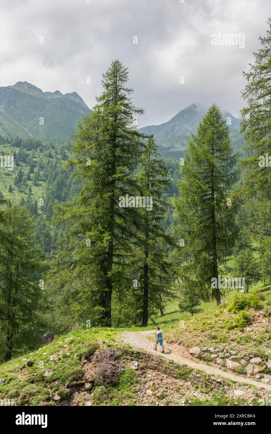 Junge, der auf der Bergstraße durch den Wald spaziert, bevor er an der Kessel Hütte ankommt. Europa, Italien, Trentino Südtirol, Non Valley, Provinz Bozen, Beweist Stockfoto