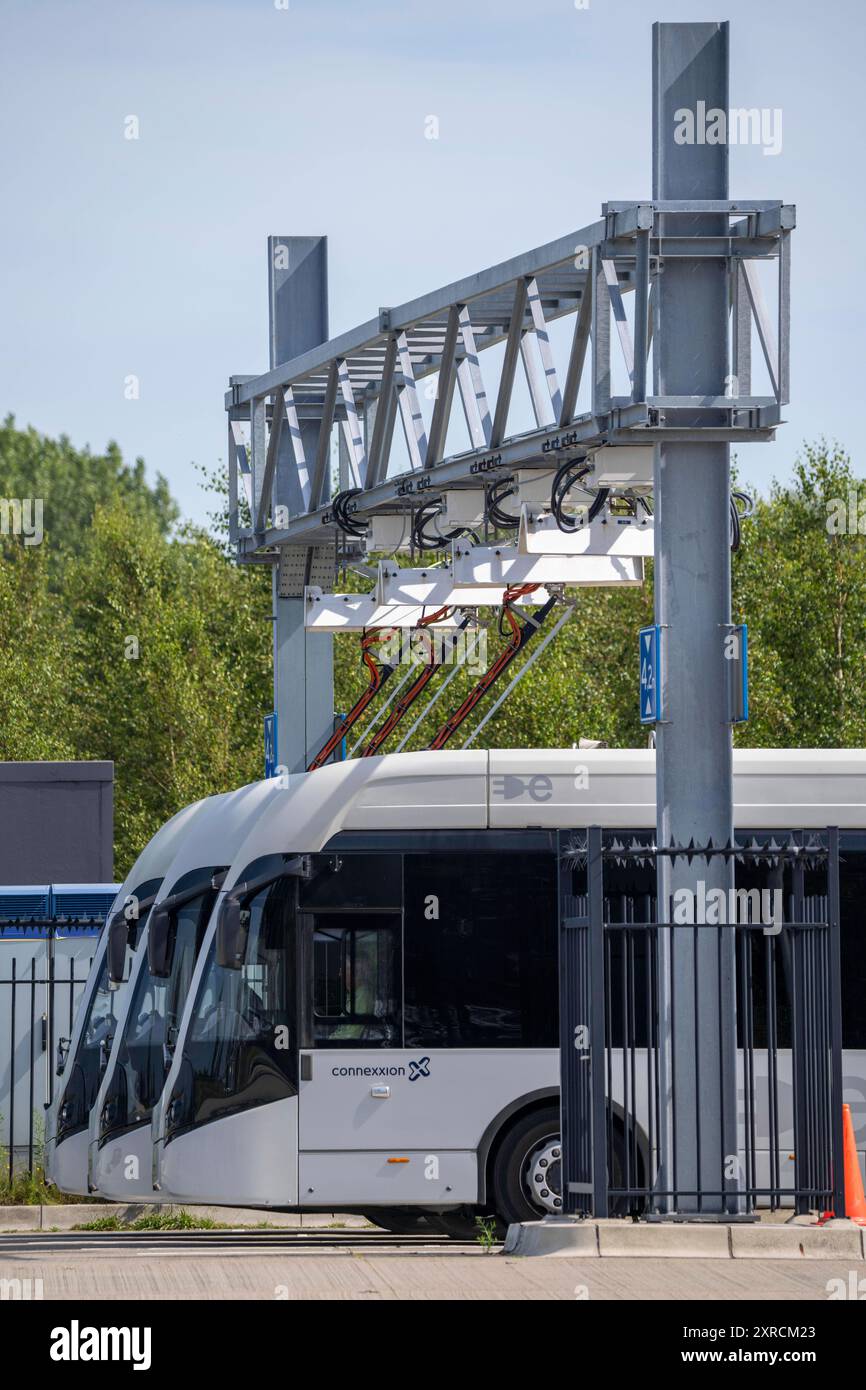 Schnellladestation für Elektrobusse am Flughafen Amsterdam Schiphol, die gesamte Flotte der Personentransport Busse ist elektrisch, über 200 Fahrzeuge, in Fahrpausen werden die Busse wieder aufgeladen, über einen Dachstromabnehmer, Fahrzeuge des Verkehrsunternehmens Connexxion, Niederlande Elektrobusse AMS *** Schnellladestation für Elektrobusse am Flughafen Amsterdam Schiphol, die gesamte Flotte von Personentransportbussen ist elektrisch, über 200 Fahrzeuge, die Busse werden während der Pausen über einen auf dem Dach montierten Stromabnehmer aufgeladen, Fahrzeuge des Transportunternehmens Connexxion, Netherlands Electric Bu Stockfoto