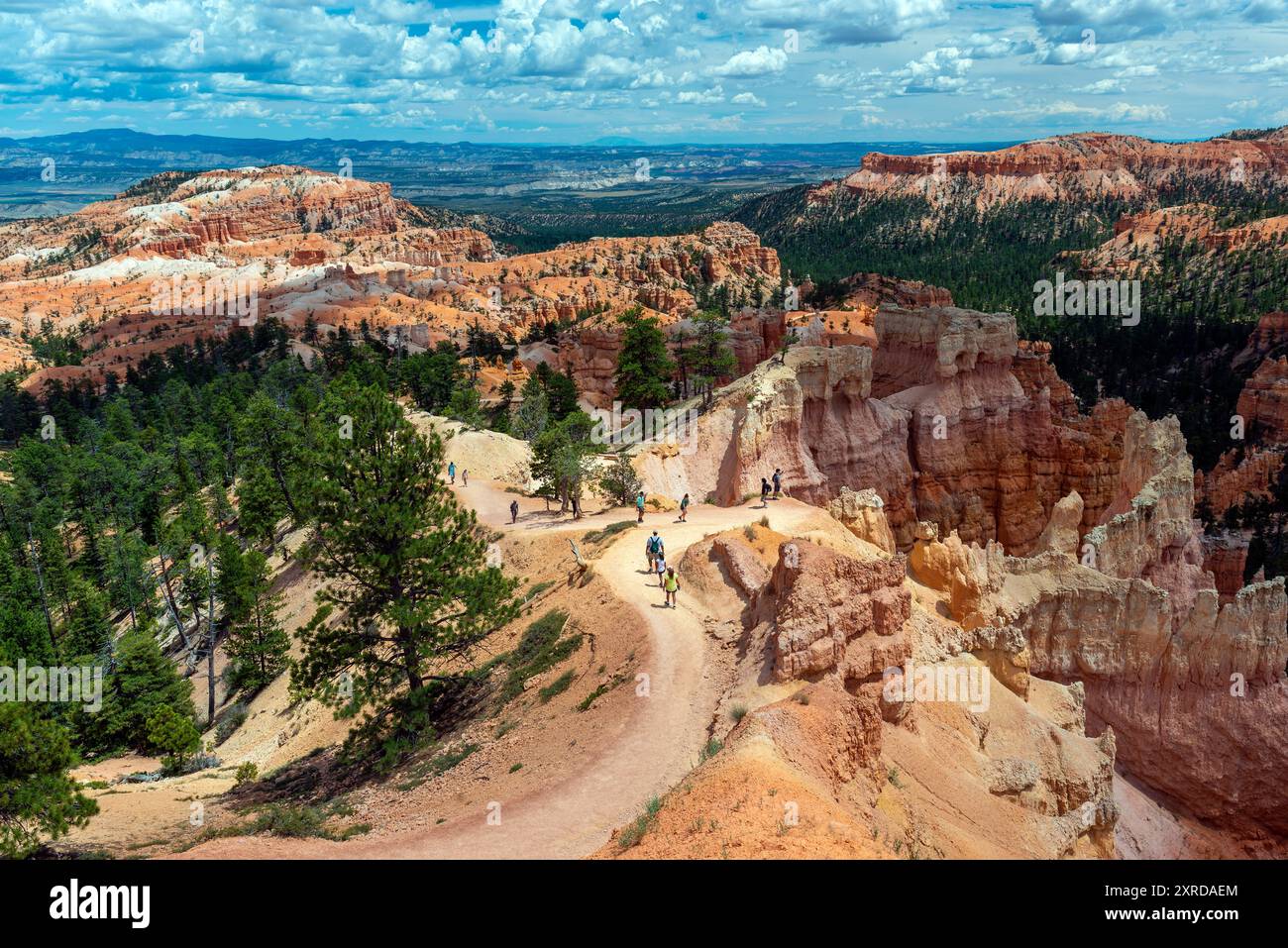 Auf der Navajo Loop Wanderung im Bryce Canyon National Park, Utah, USA. Stockfoto