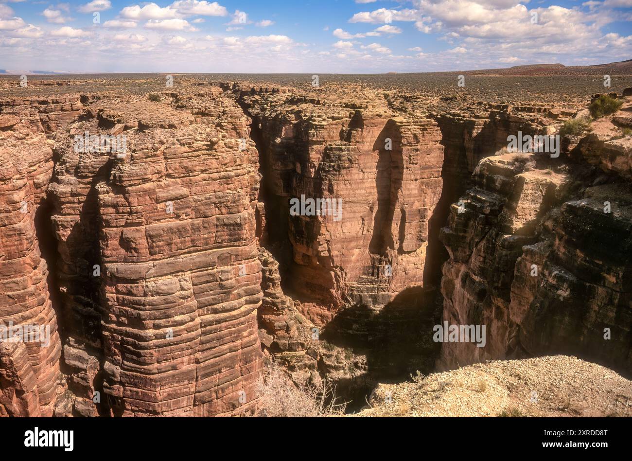 Blick auf den Little Colorado River Gorge Navajo Tribal Park, der sich weit unterhalb des Little Colorado River in Richtung Colorado im Grand Canyon schlängelt. Stockfoto