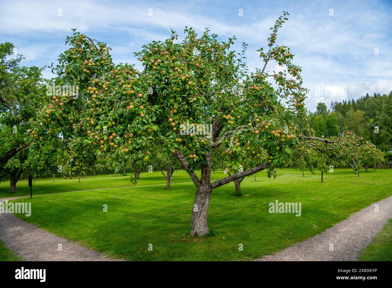 Der Garten in Mårbacka, der Heimat von Selma Lagerlöf, Värmland, Schweden Stockfoto