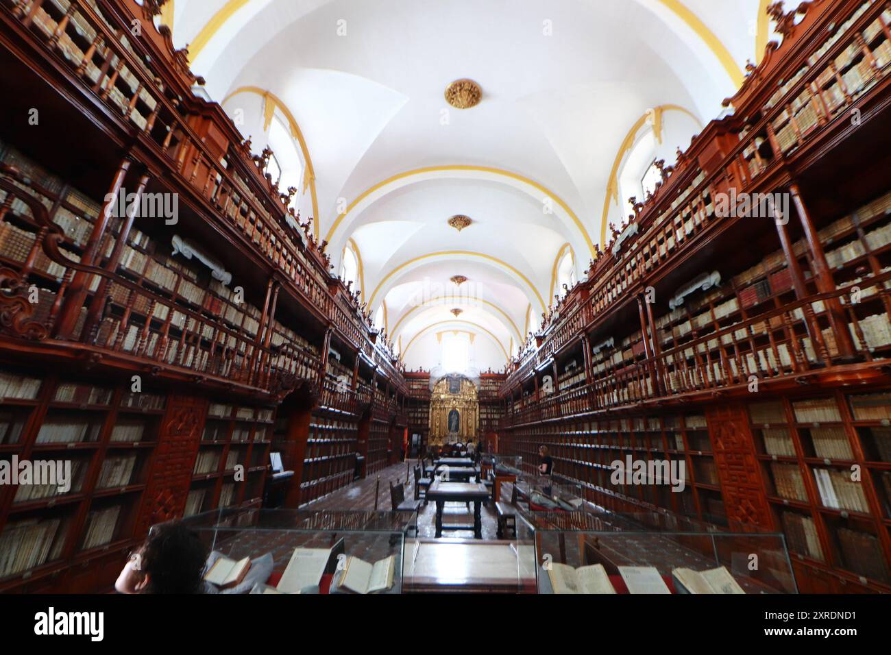 Puebla, Mexiko. August 2024. Ein allgemeiner Blick auf die Palafoxiana-Bibliothek, die sich im Herzen des historischen Zentrums der Stadt Puebla befindet, zeigt ihre Sammlung von etwa 45.000 Büchern, die in Zedernregalen geschützt sind. Die 1646 von Bischof Juan de Palafox y Mendoza gegründete Bibliothek gilt als die erste öffentliche Bibliothek Amerikas, am 9. August 2024 in Puebla, Mexiko. (Foto: Carlos Santiago/Eyepx Group) (Foto: Eyepix/NurPhoto) Credit: NurPhoto SRL/Alamy Live News Stockfoto