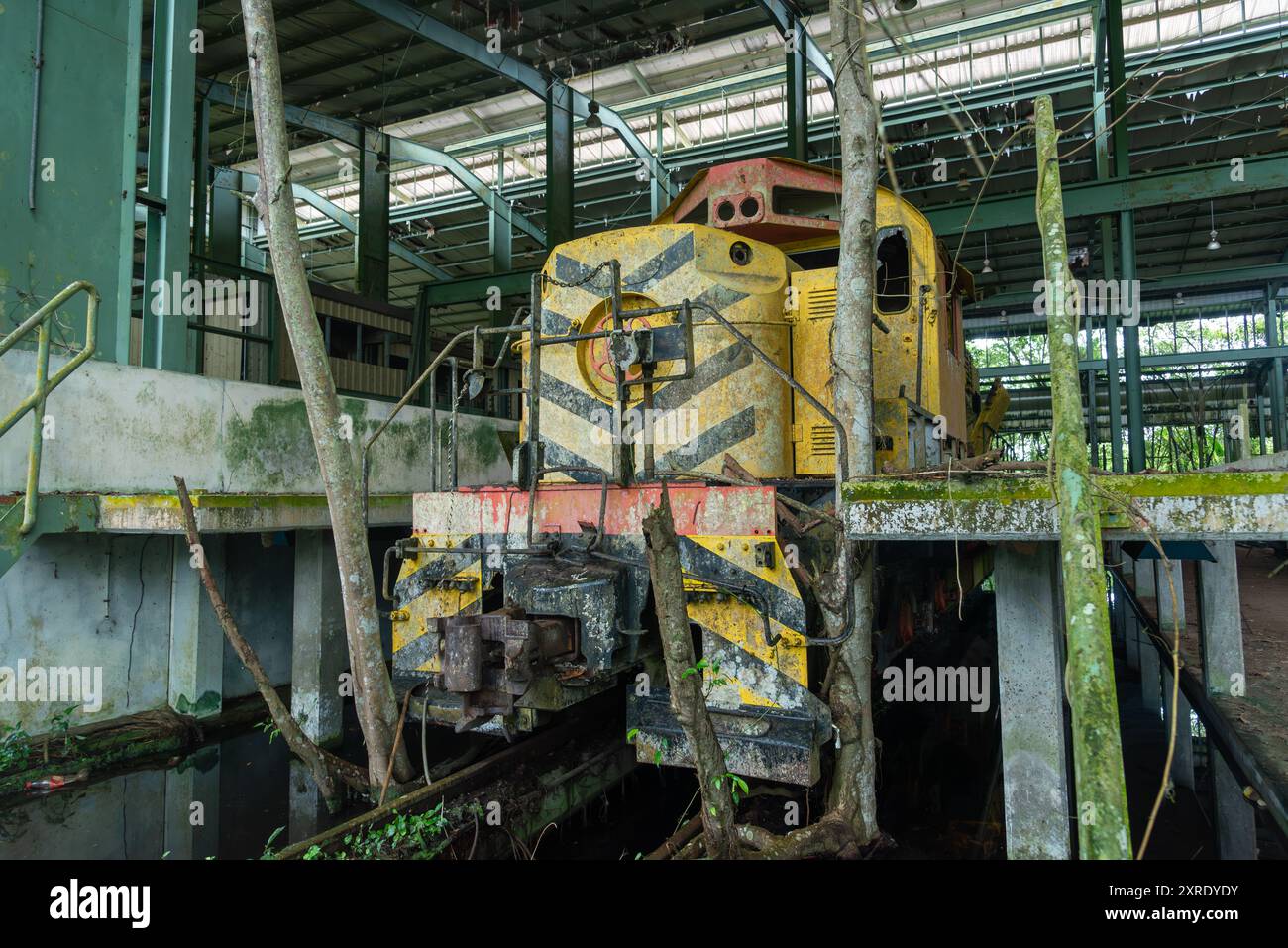 Apoera Railwaystation Suriname hat nie benutzt und aufgegeben und 300 Millionen Gulden dem Dschungel überlassen Stockfoto