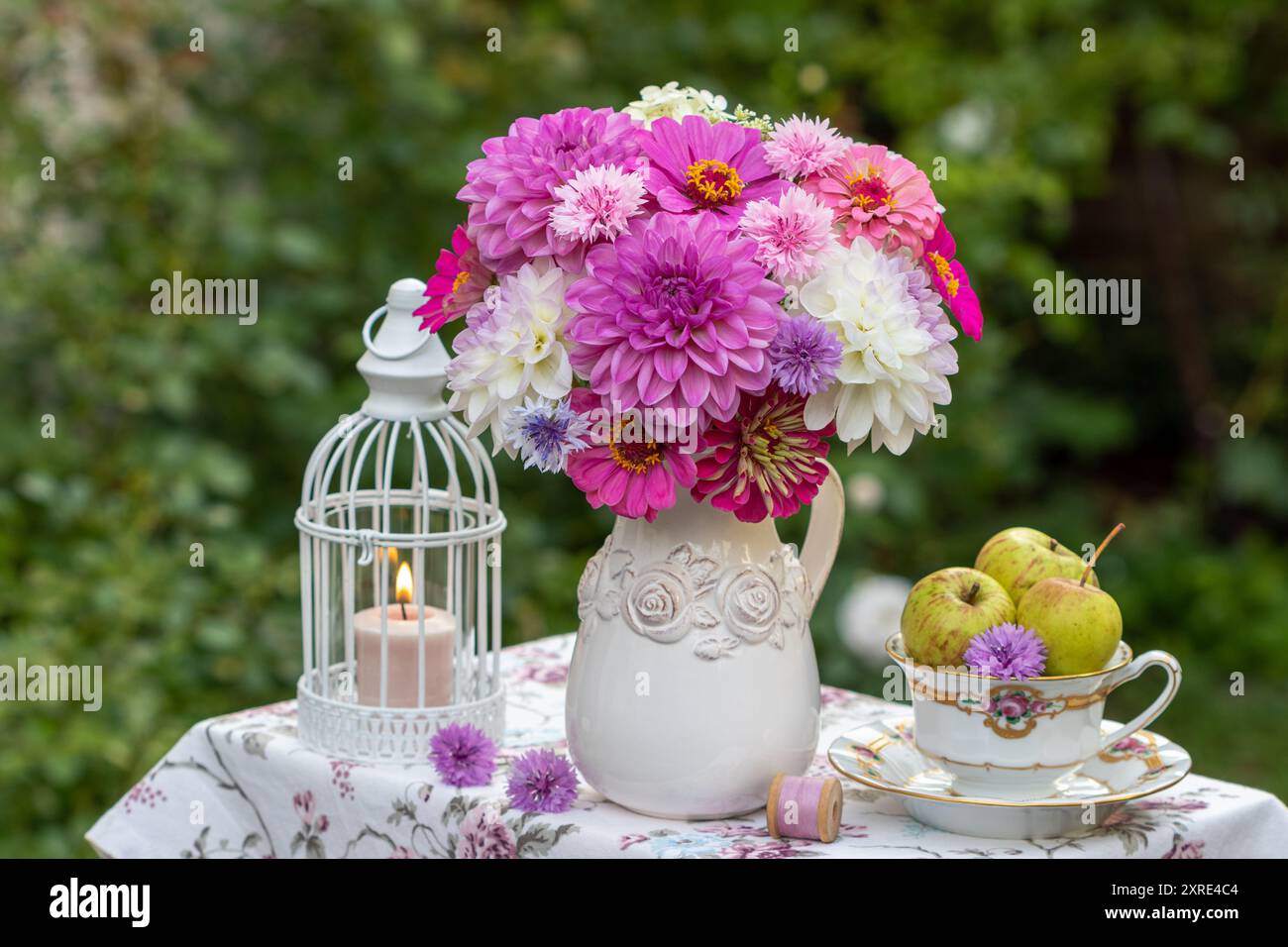 Tisch-Arrangement mit Strauß aus weißen und rosa Dahlien, Zinnien und Nelken, Äpfeln und Tischlaterne Stockfoto
