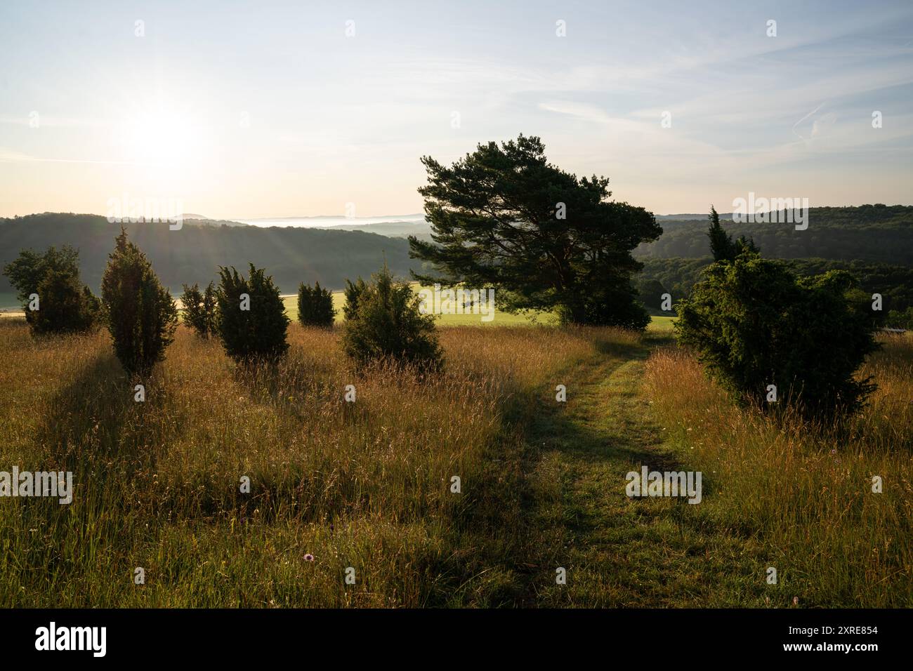 Panoramabild der Sommerlandschaft in der Eifel bei Blankenheim bei Sonnenaufgang, Nordrhein-Westfalen, Deutschland Stockfoto