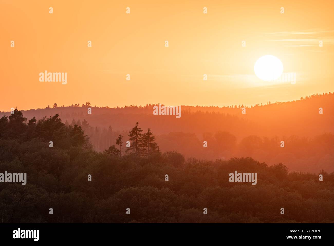 Panoramabild der wunderschönen Landschaft, Eifel, Rheinland-Pfalz, Deutschland Stockfoto