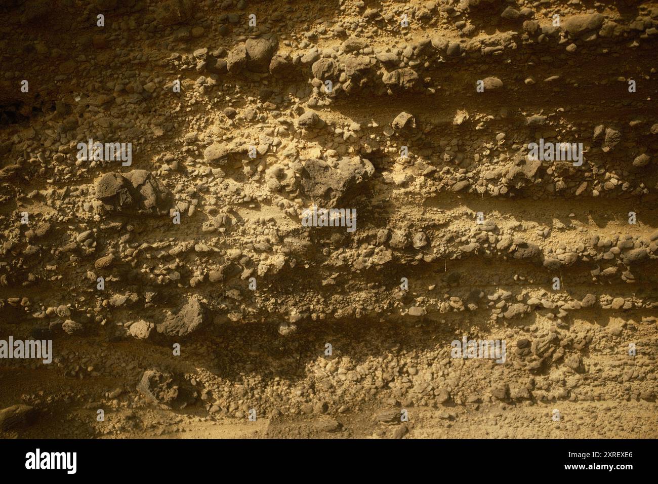 Detaillierte Textur der Klippenoberfläche, die durch Ozeanwellen erodiert wurde Stockfoto