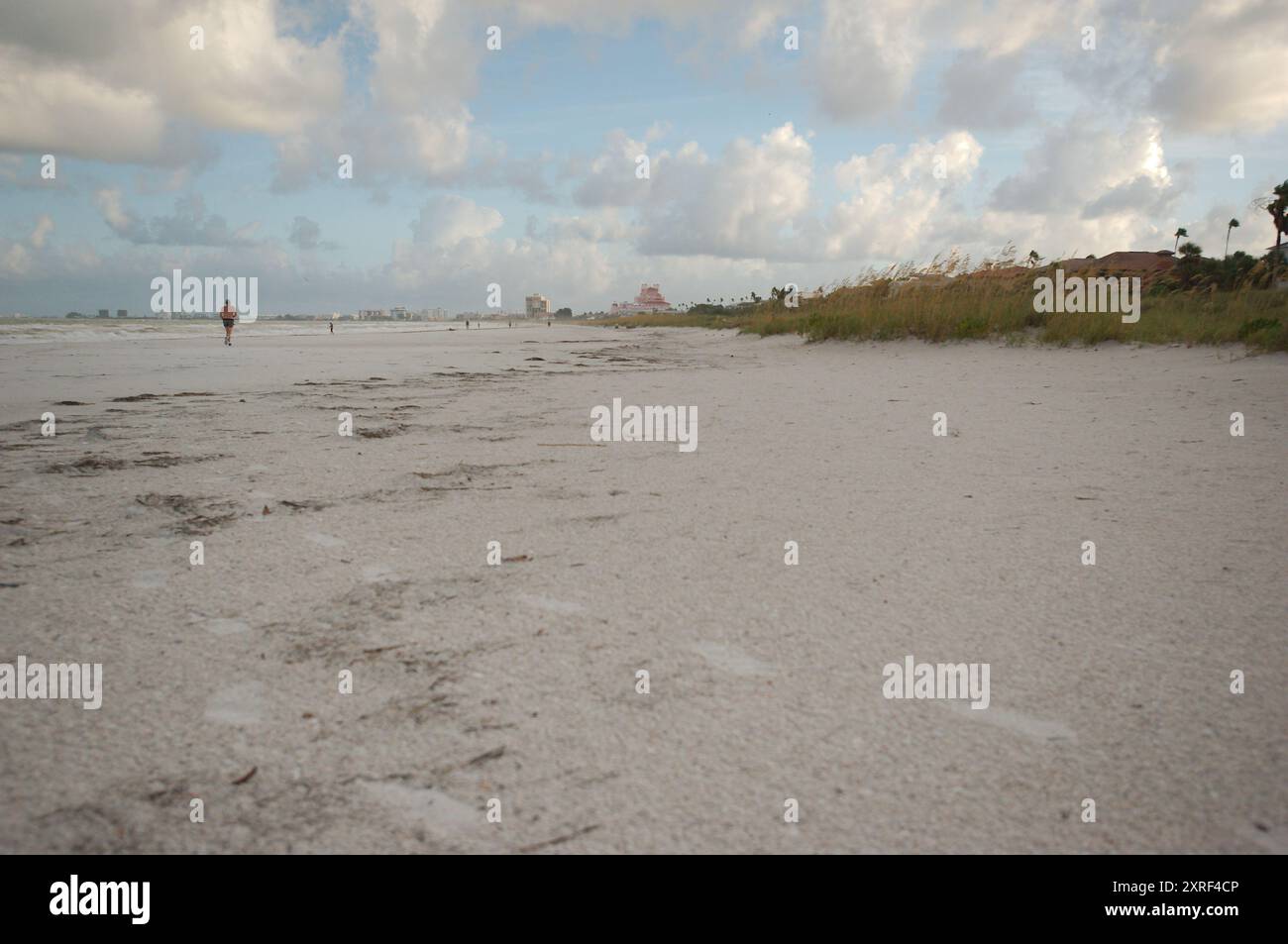 Blick aus dem Winkel mit Blick nach Norden in der frühen Morgensonne über den grünen Vorgrund von Trauben und Hafer. Am Pass-a-Grille Beach in St. Pete Beach Stockfoto