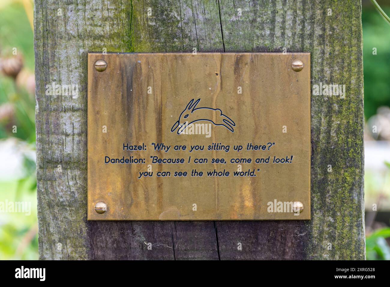 Haselnussbaum und Gedenktafel auf Watership Down erinnern an Richard Adams, Autor des Buches mit diesem Namen, Hampshire, England, Großbritannien Stockfoto